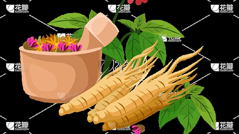 推拿与正骨：手法差异与适用场景解析
