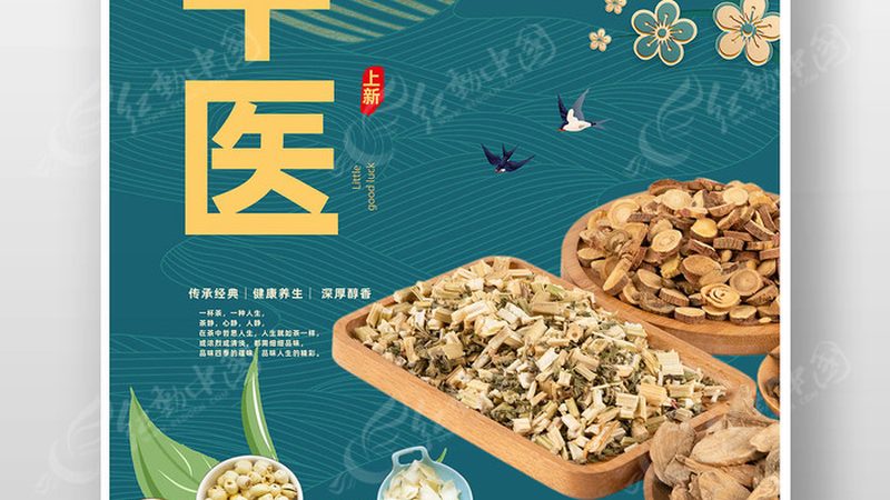 北京老年人养生保健机构哪家好